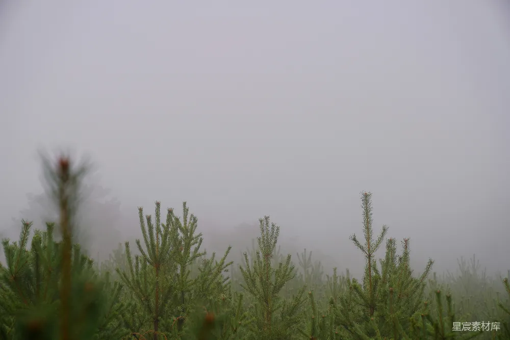 高清摄影 白天绿草地上方白云蓝天