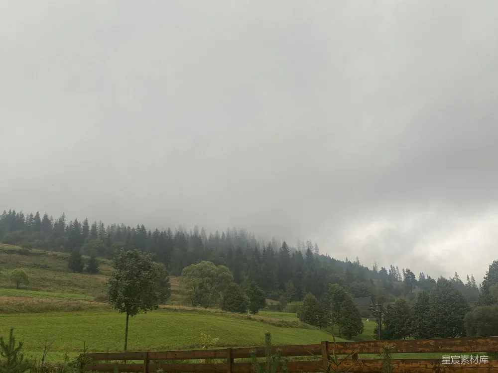 高清摄影 有篱笆和树的一片田野在阴天的背景下