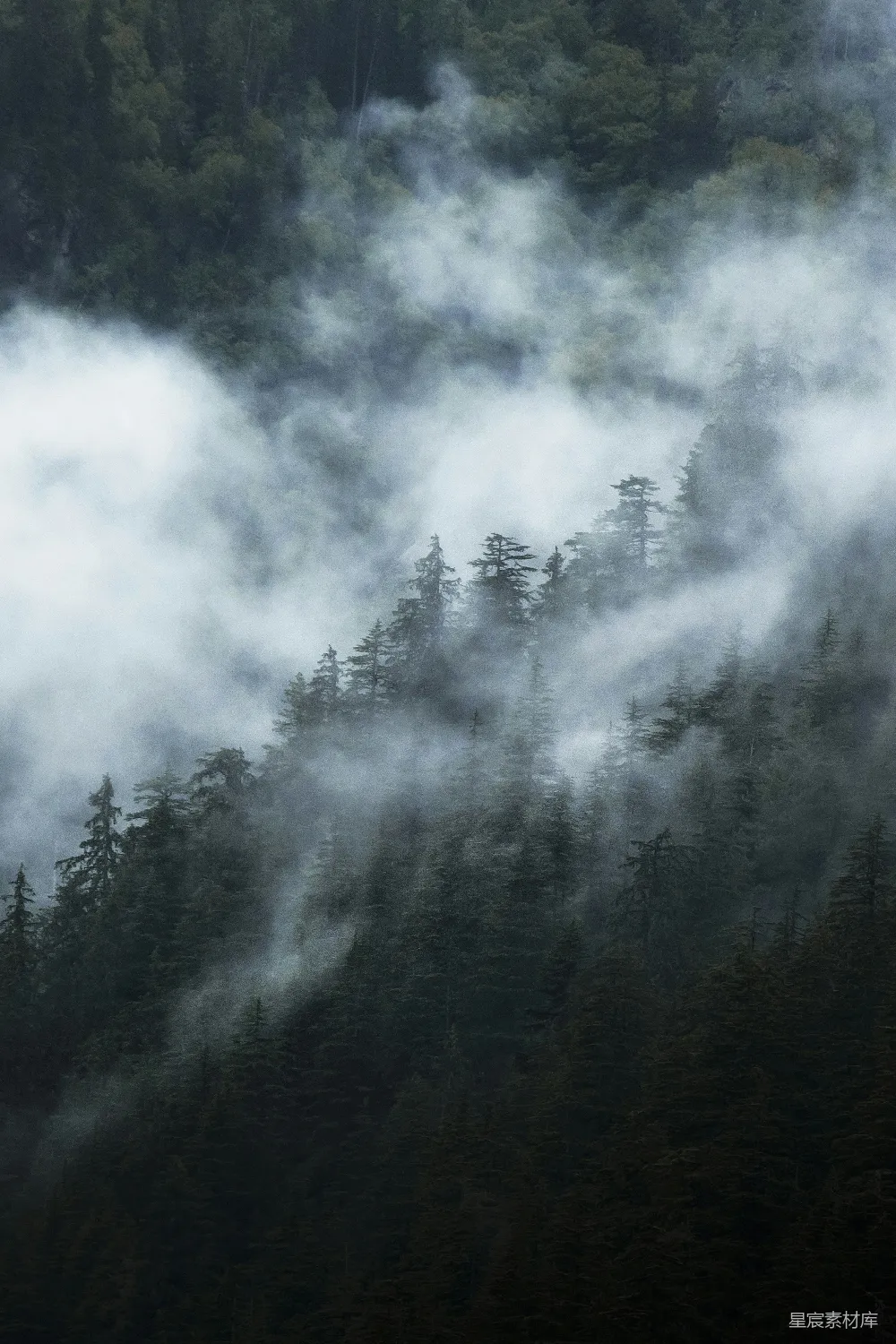 高清摄影 山峦被雾气笼罩，背景中有树木。