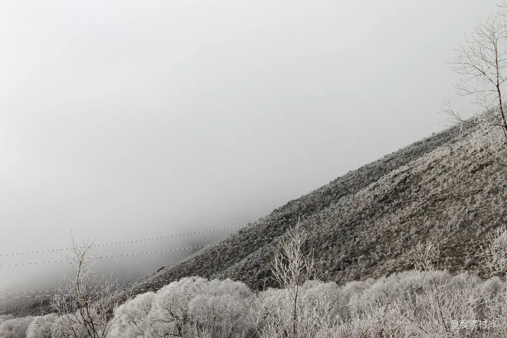 高清摄影 山顶白雪覆盖旁边是森林