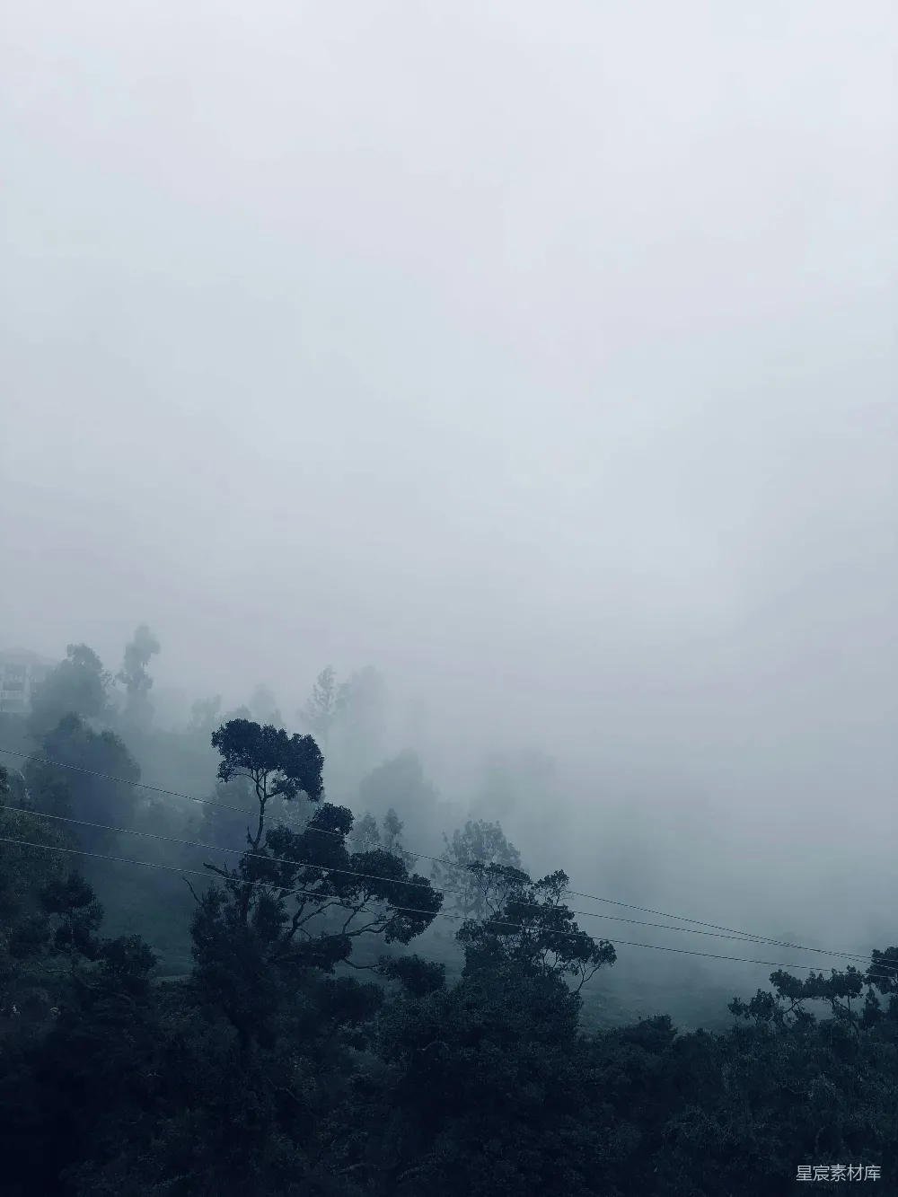 高清摄影 白天绿树下的蓝天