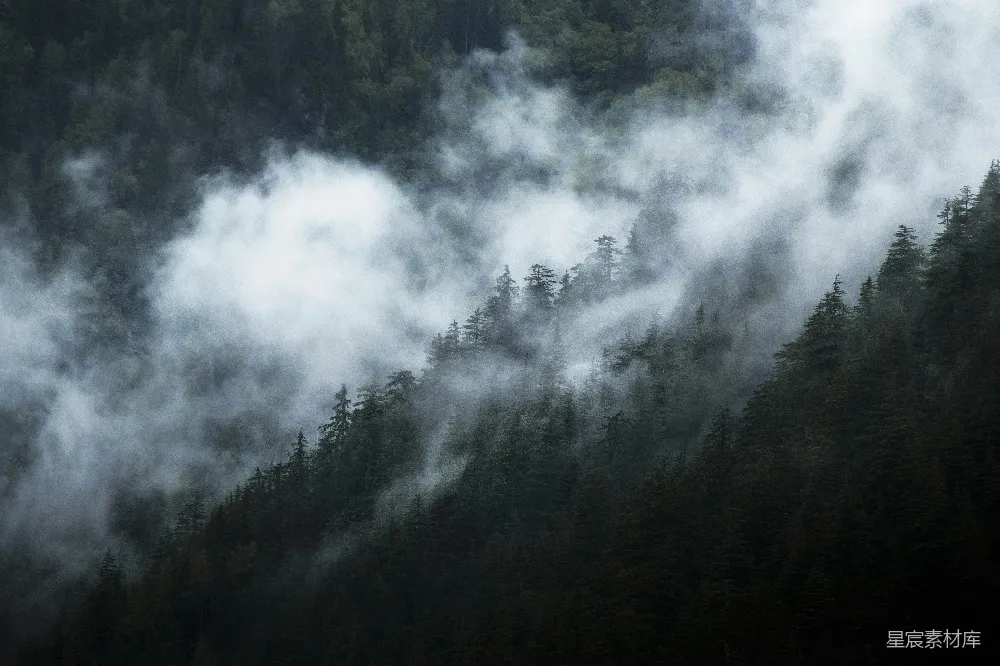 高清摄影 山峦被雾气覆盖，背景是树木。