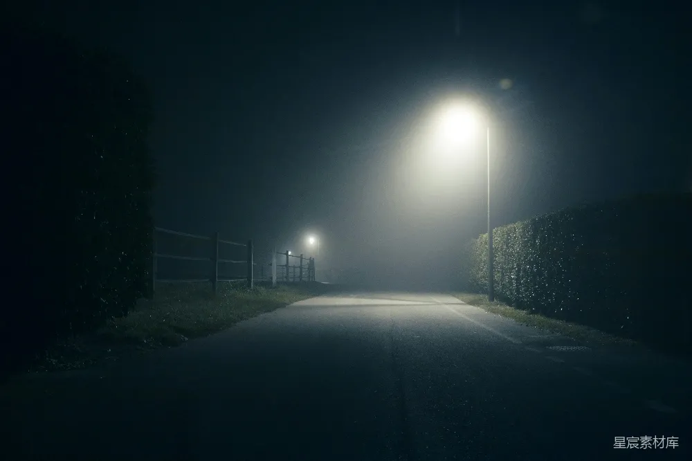 高清摄影 夜间灯泡亮了