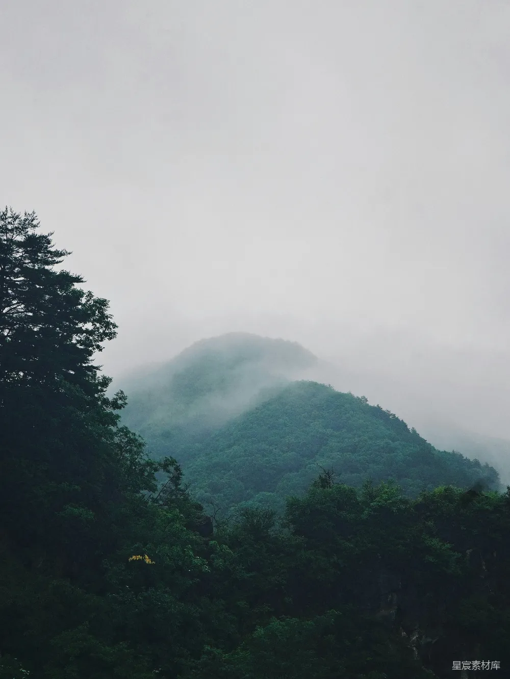 高清摄影 前景中有树木的一座山景
