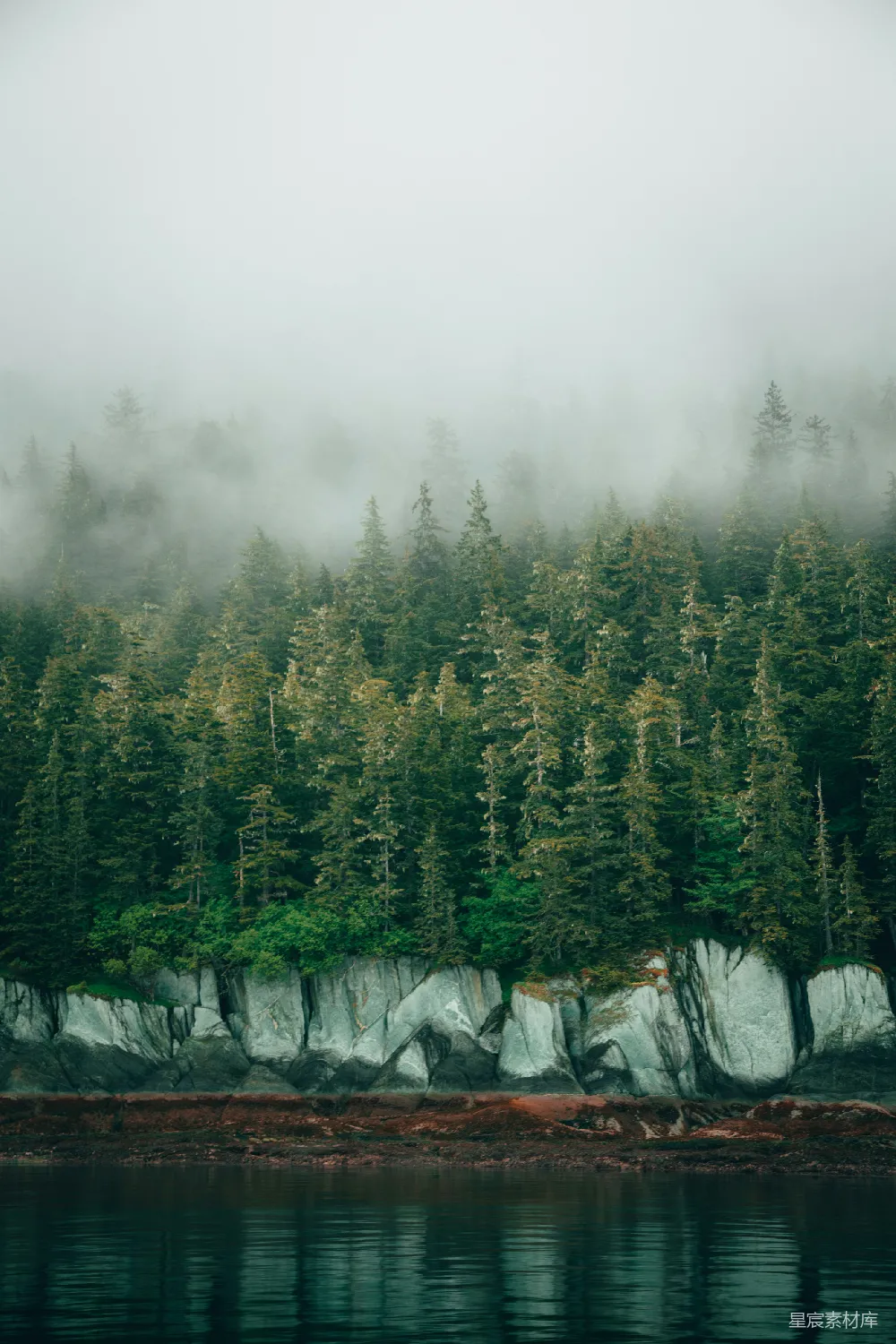高清摄影 山上的翠柏绿松
