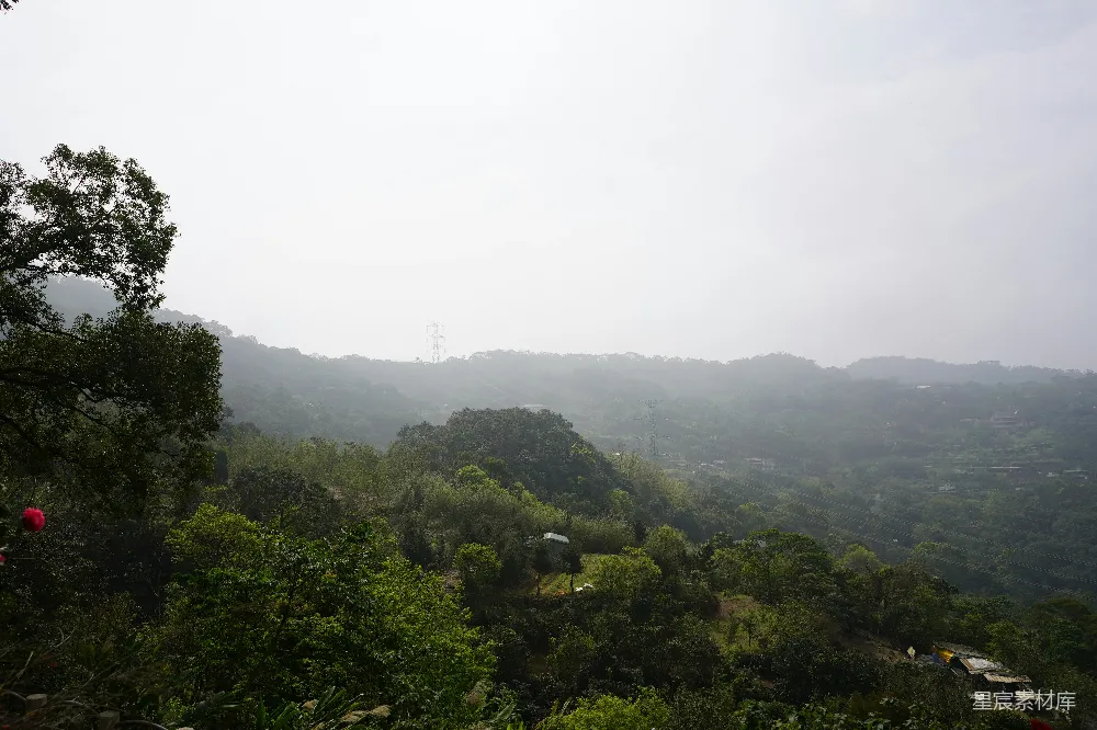 高清摄影 起伏的山坡上绿树成荫。