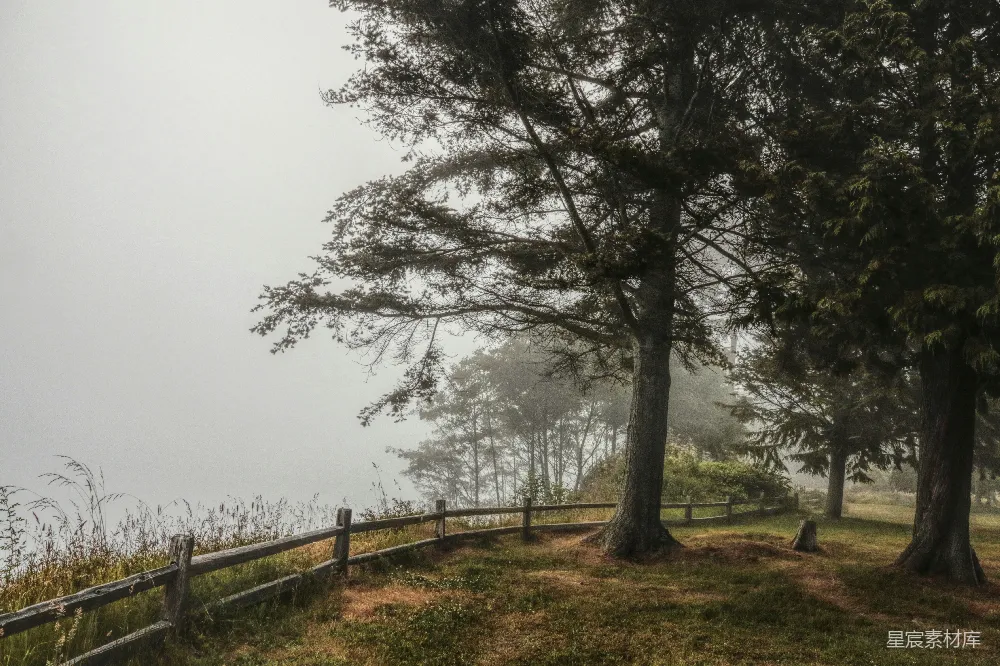 高清摄影 绿草丛中树木环绕的近水草地