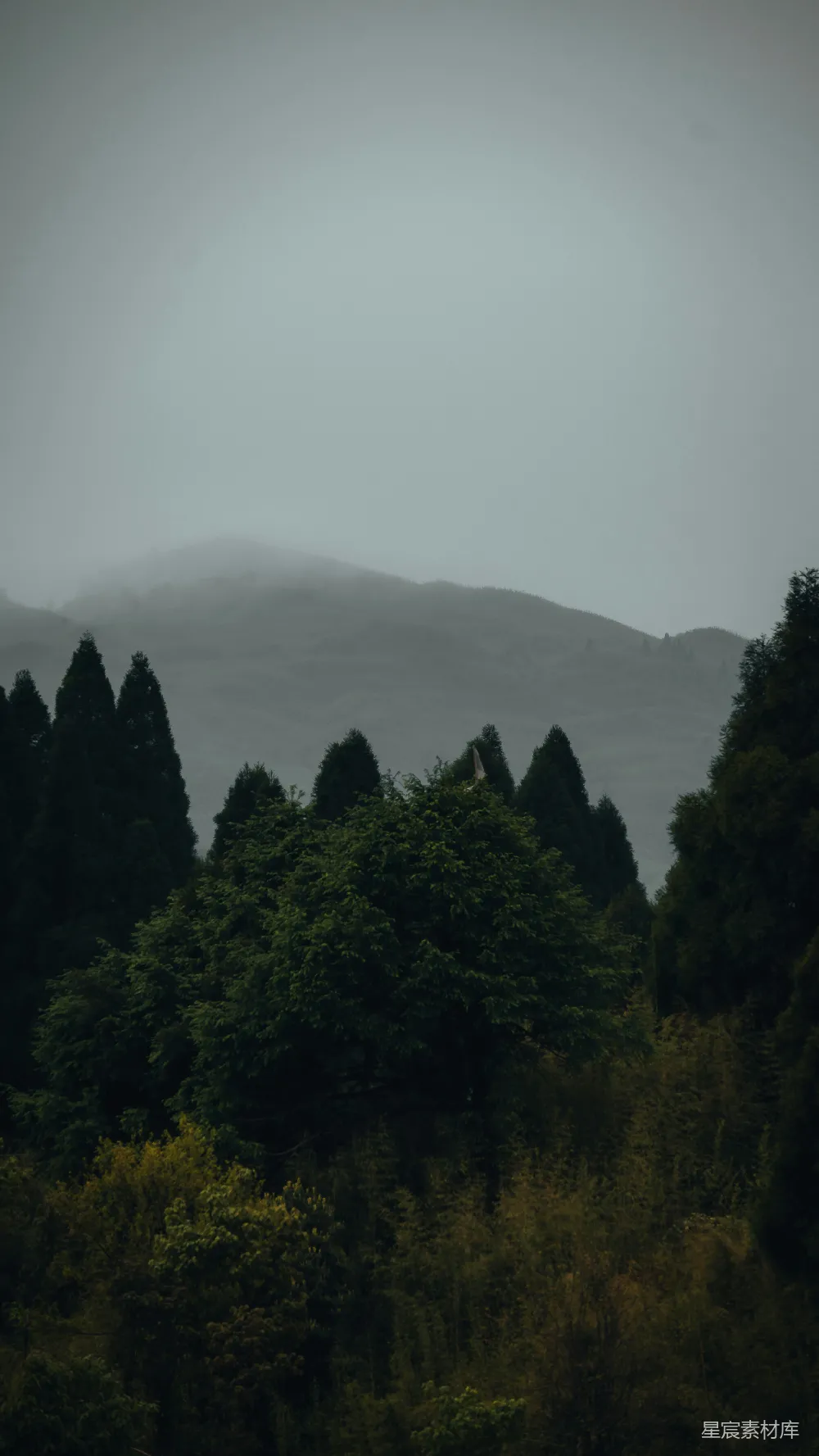 高清摄影 暗绿色树木环绕的山间景色。