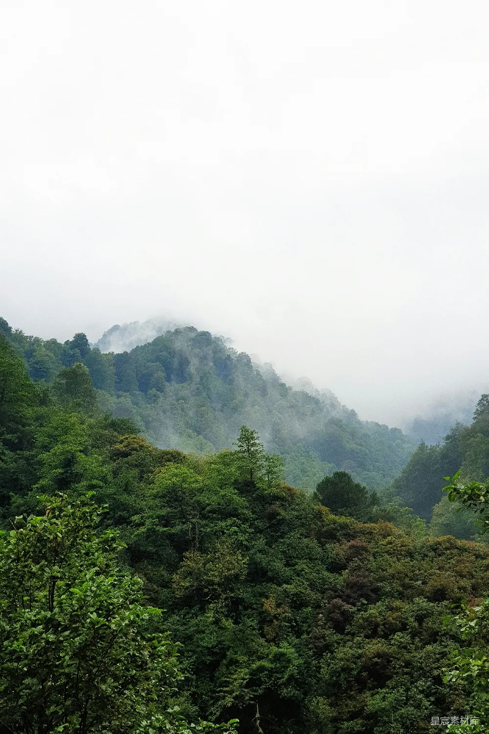 高清摄影 山中绿树白日在蓝天之下