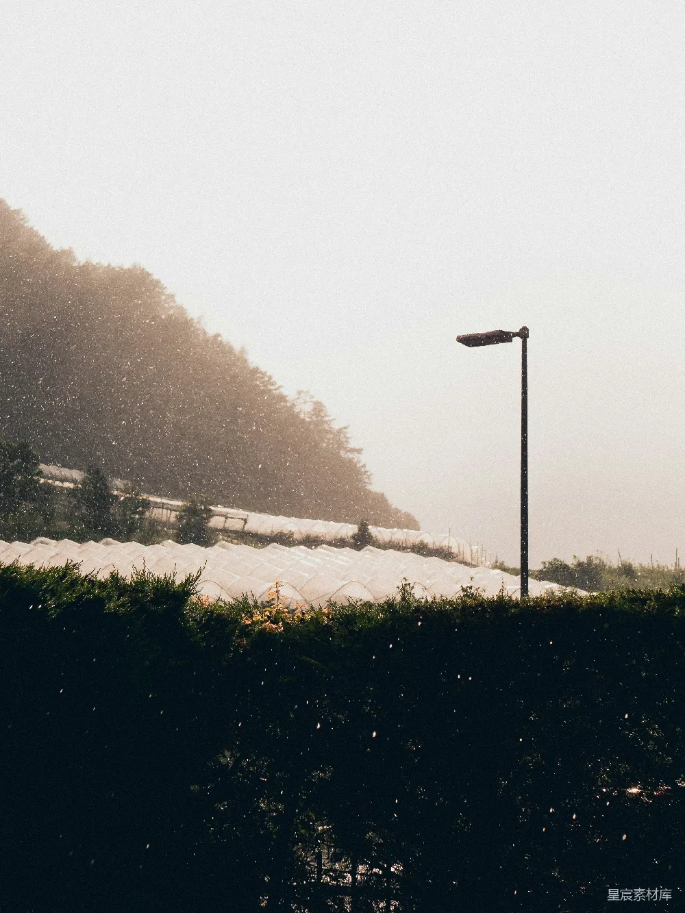高清摄影 路边的一盏街灯旁边是一个覆盖着白雪的田野。