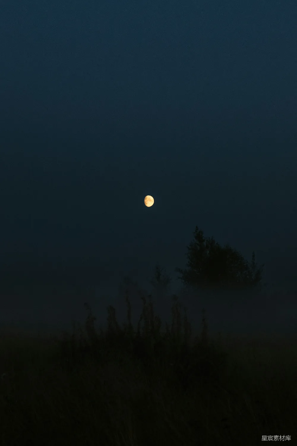 高清摄影 夜空中悬挂着一轮满月
