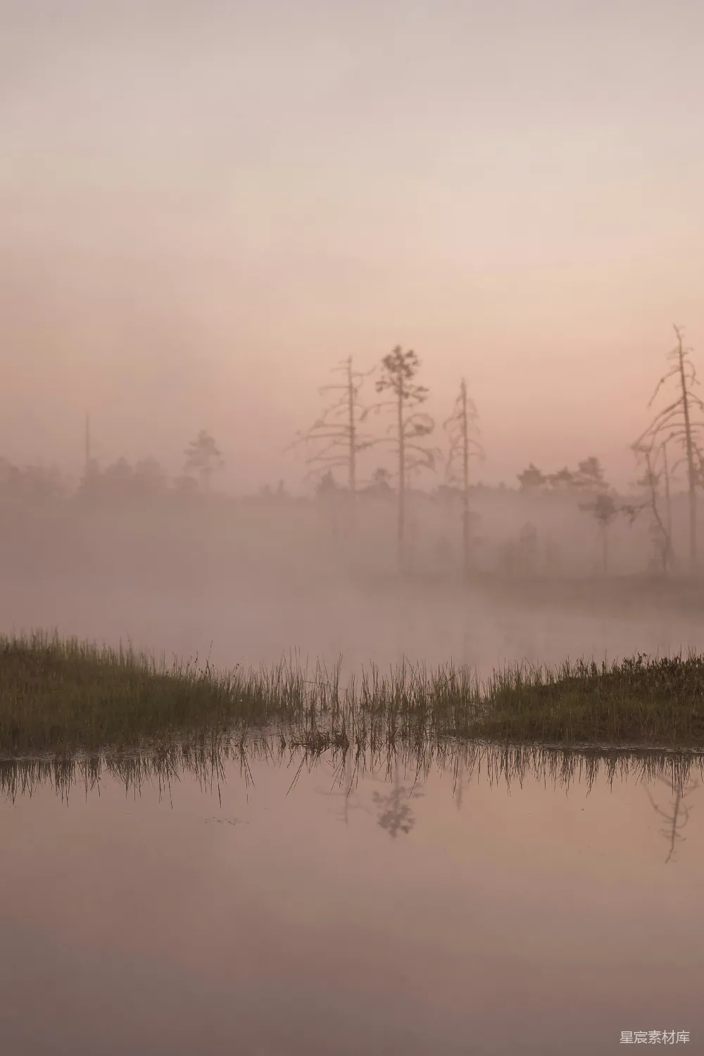 高清摄影 被树木环绕并笼罩着薄雾的水域