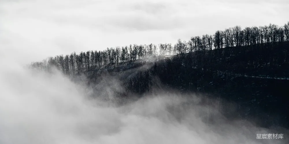 高清摄影 一张黑白照片里的雾中山峰