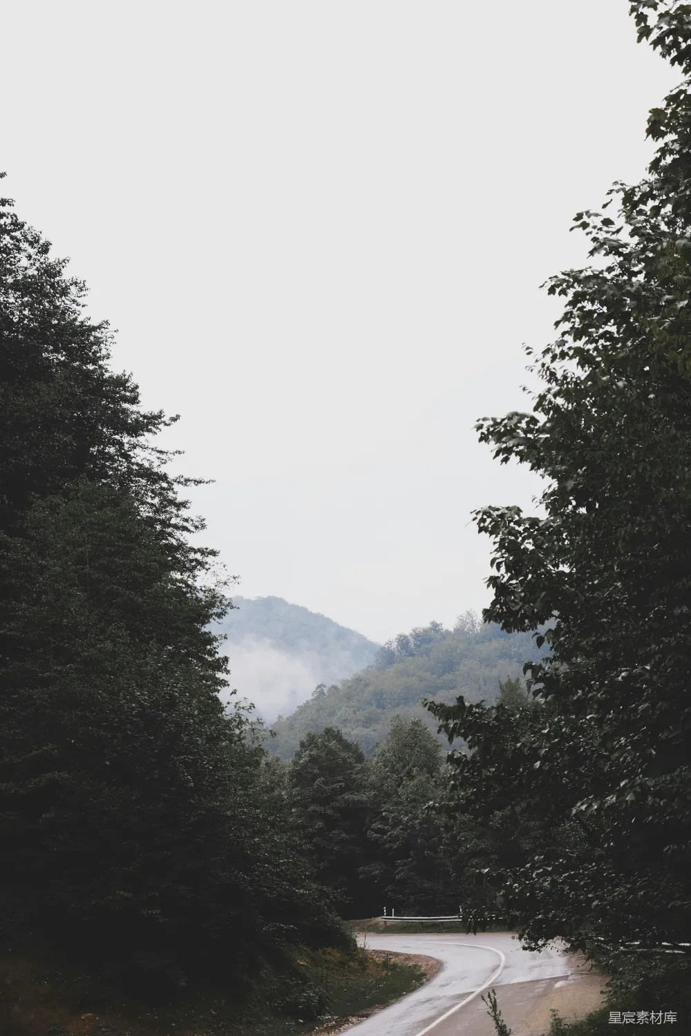 高清摄影 山间雾天绿树