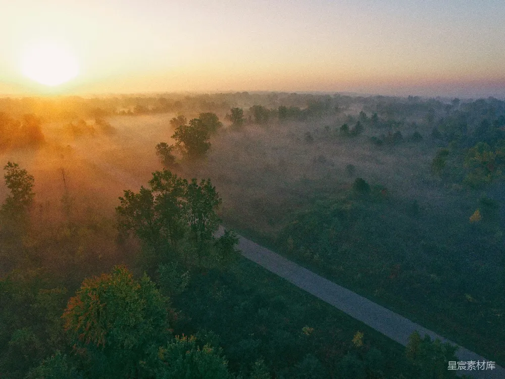 高清摄影 白天拍摄的混凝土道路附近的树木 aerial photography of concrete road near trees at daytime