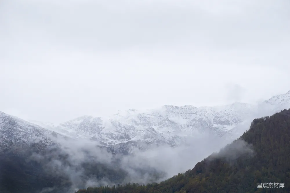 高清摄影 山间绿树覆盖着白雪