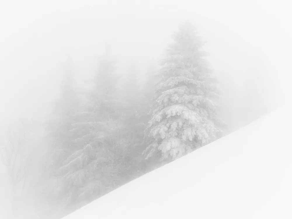高清摄影 滑雪板爱好者正在滑下一条雪地斜坡
