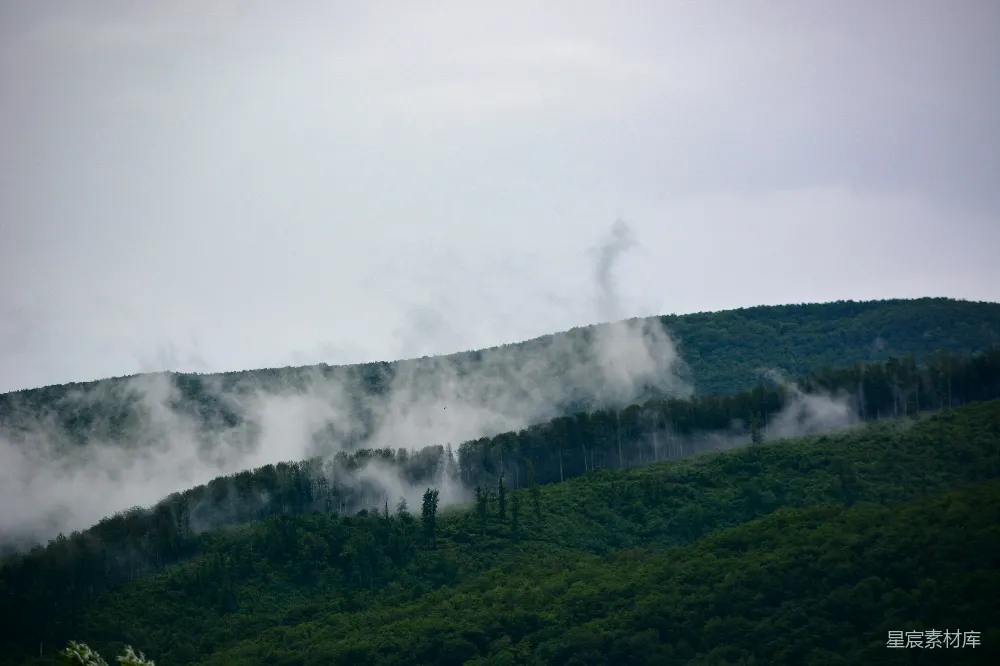 高清摄影 云雾缭绕的山林中的一个阴天景象