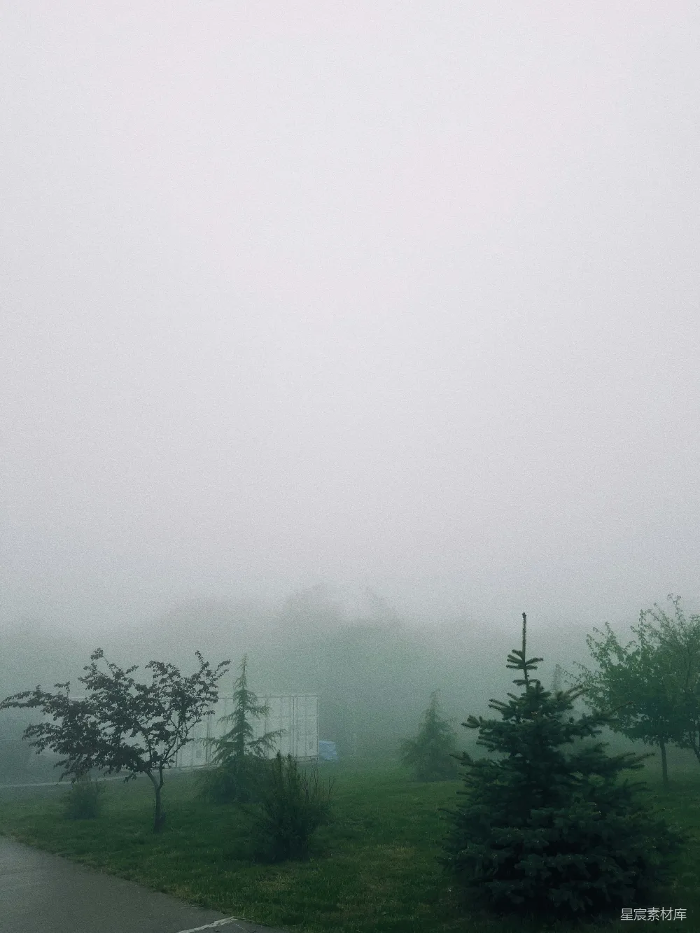 高清摄影 前景中有一片雾气笼罩的田野和一棵树以及一个长凳。