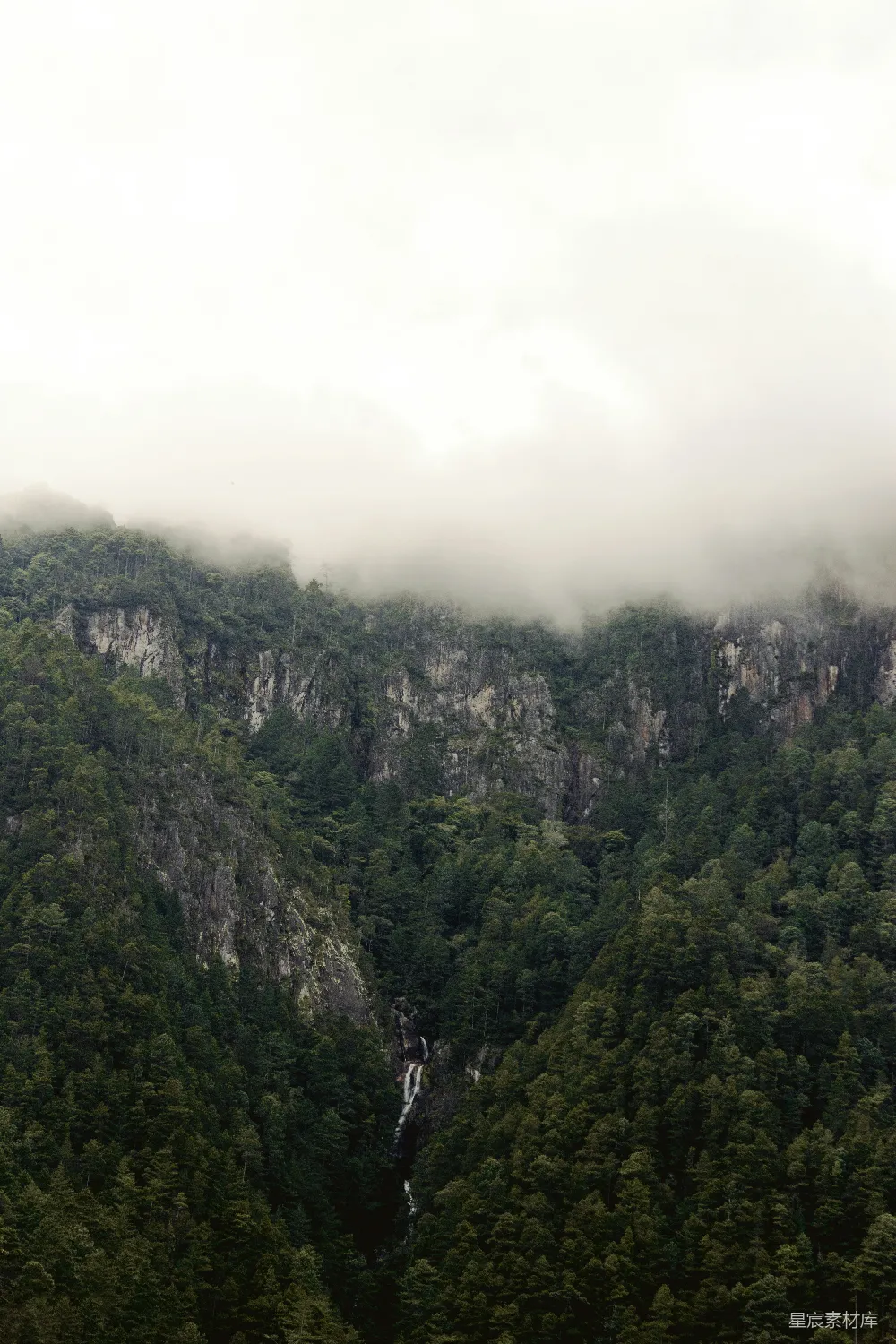 高清摄影 山间白天绿树