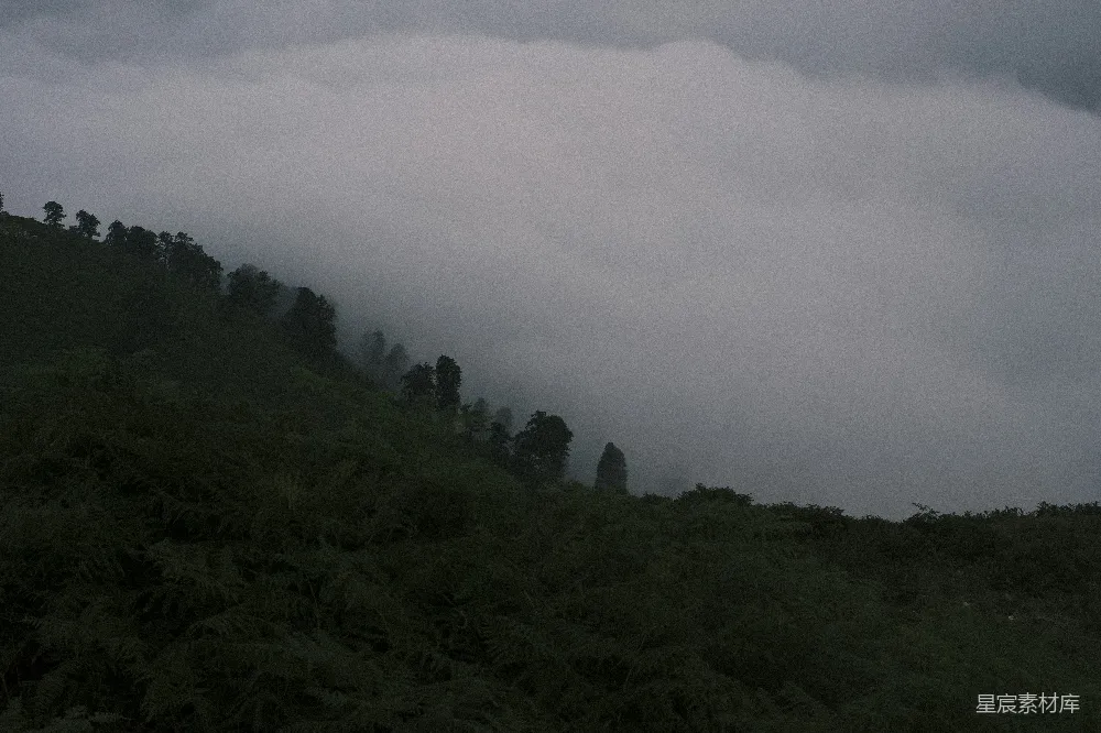 高清摄影 云层覆盖的山顶和树木在阴天中的景象