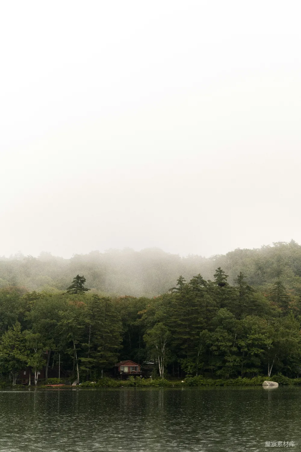 高清摄影 被树木环绕并笼罩在雾中的水域