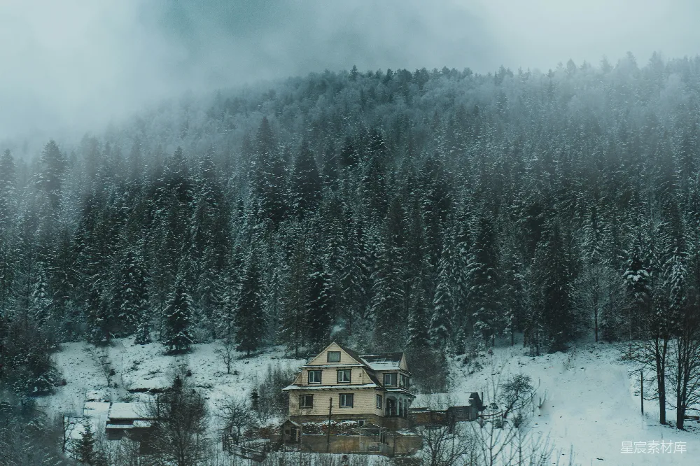 高清摄影 中雪林中的房子