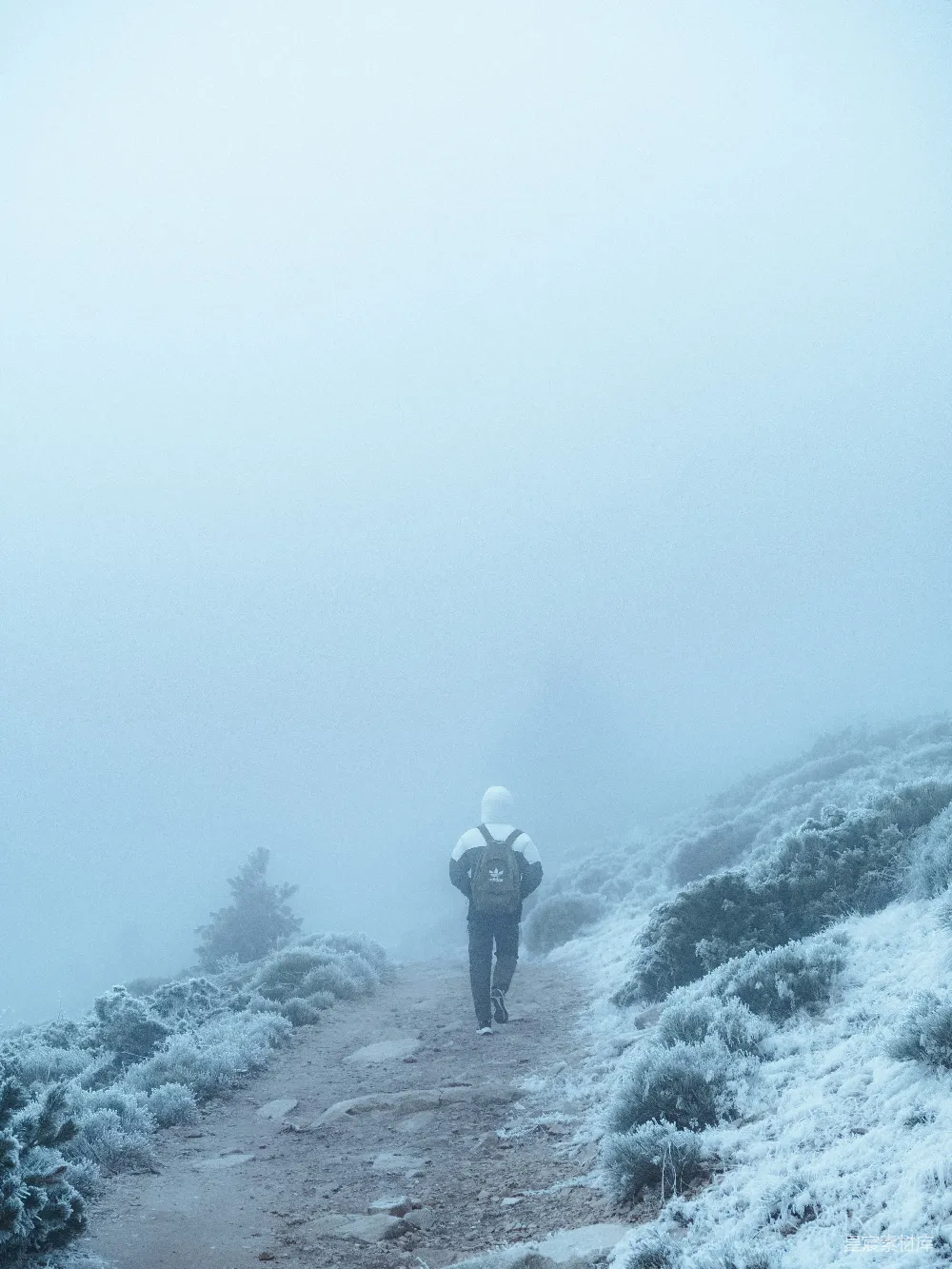 高清摄影 一个人在雪地里走上小径