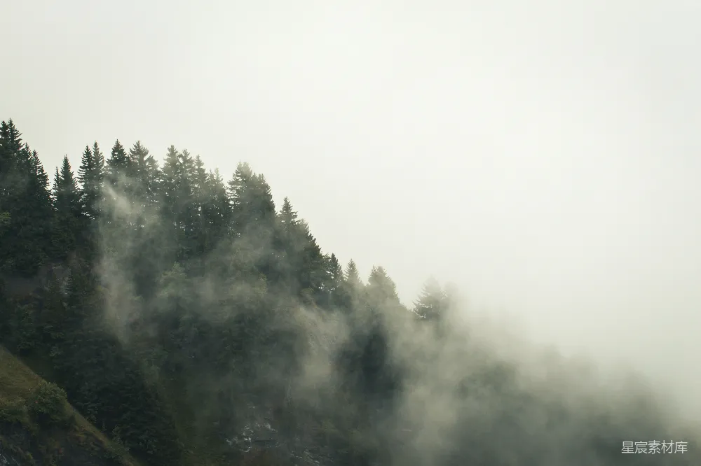 高清摄影 云雾缭绕的山和树在阴天中的景象