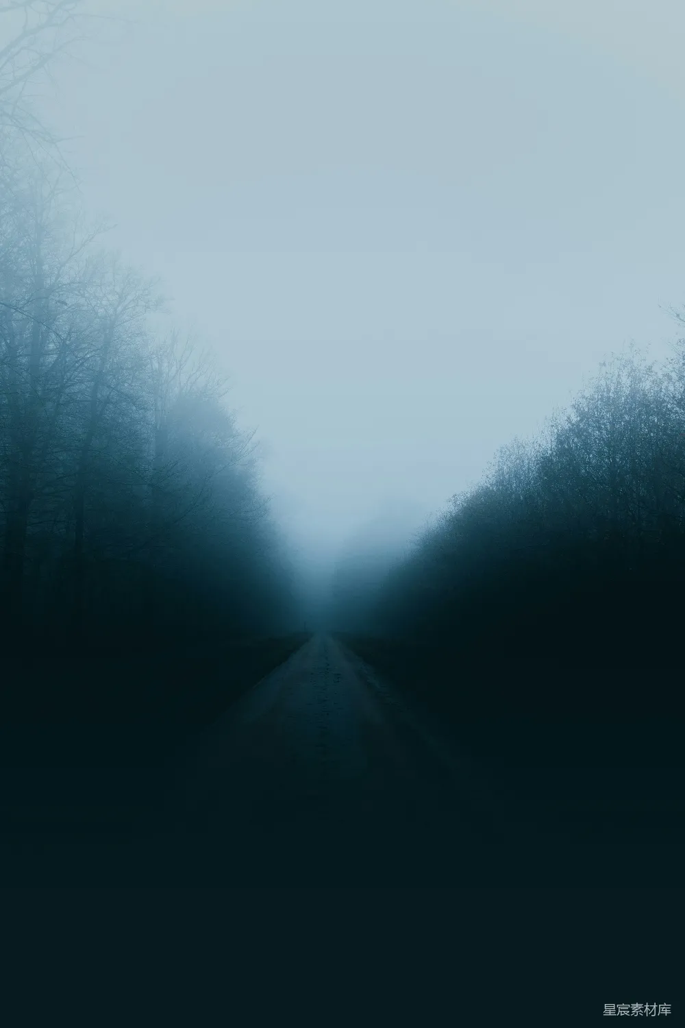 高清摄影  环绕着树木的道路笼罩在雾中