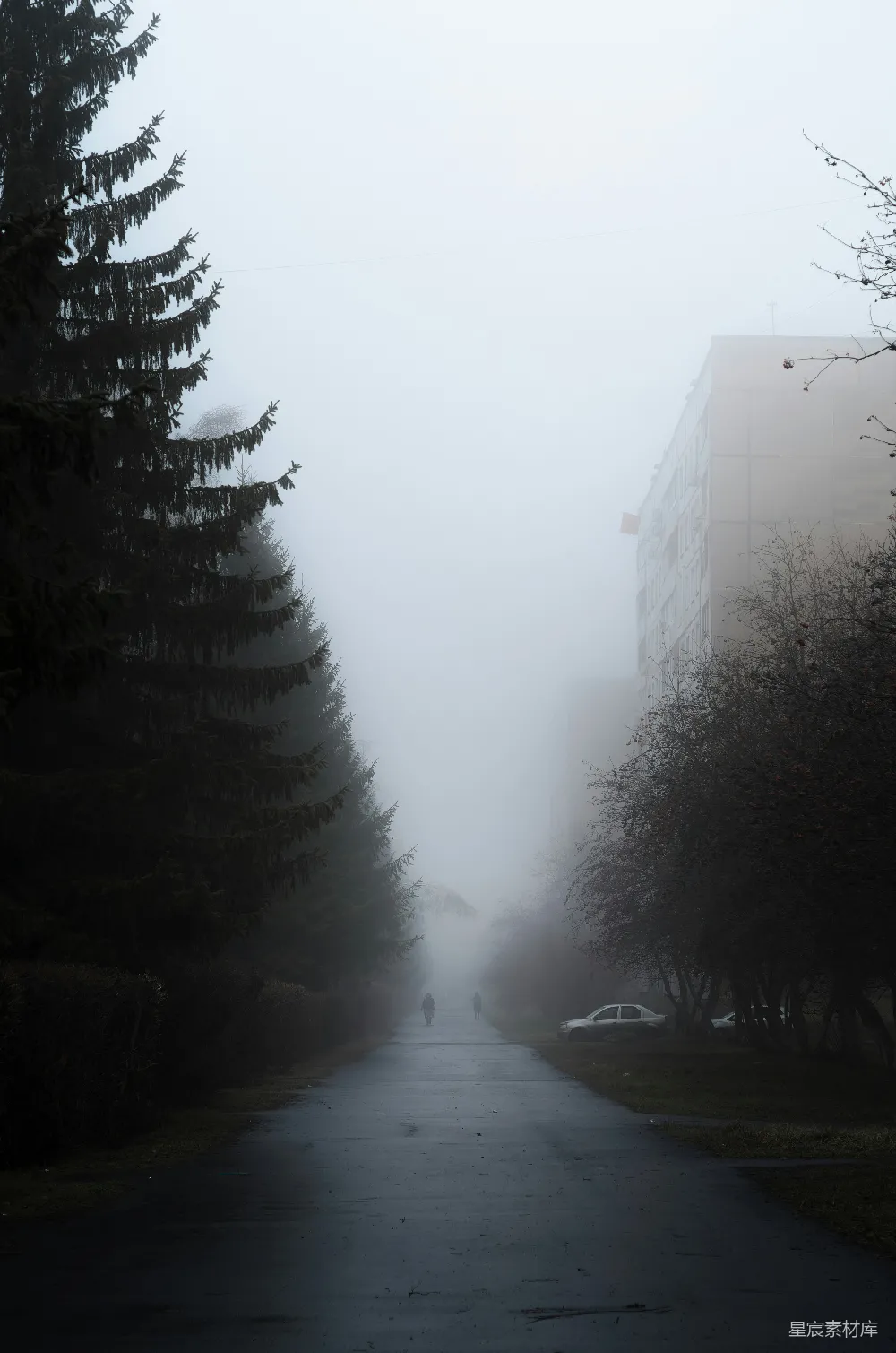 高清摄影 一个行人走在有树木和建筑物在背景的道路旁