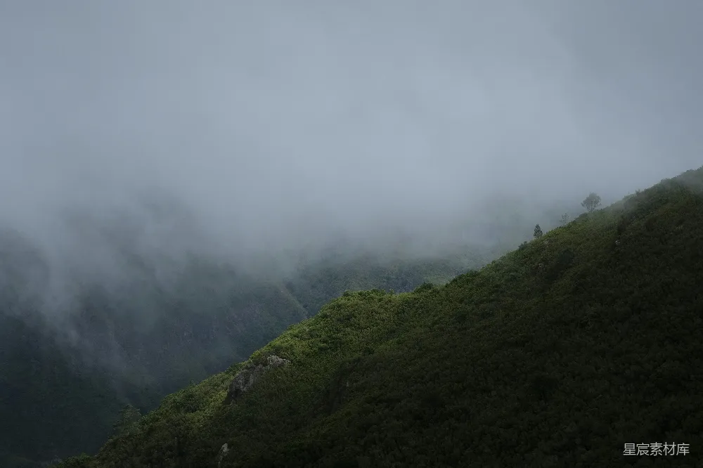 高清摄影 一个被浓雾和低垂的云层覆盖的小山丘