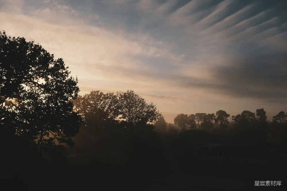 高清摄影 夕阳落在一些树后