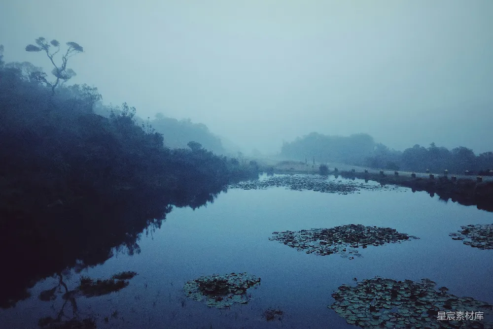 高清摄影 白天的水面