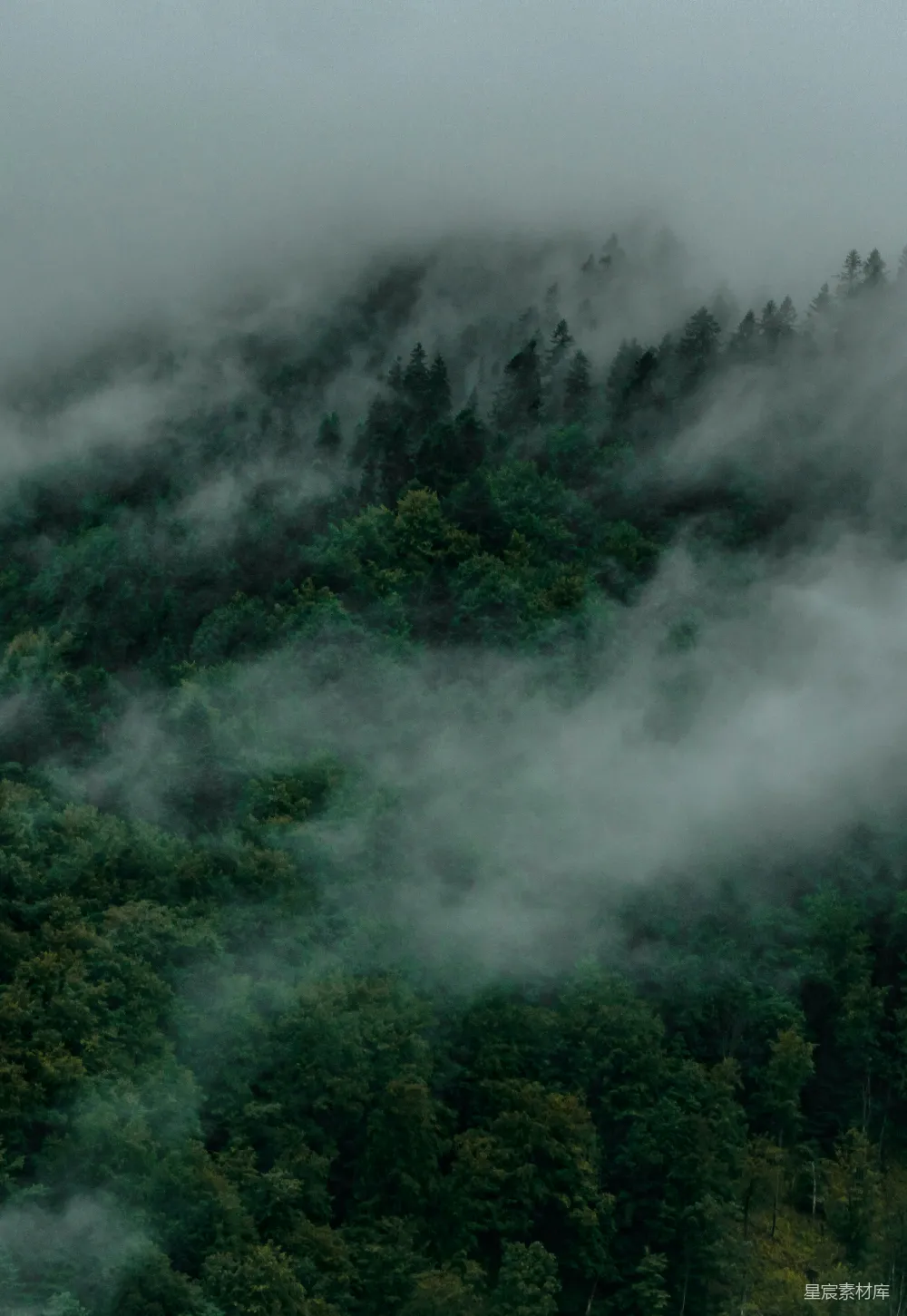 高清摄影  山峦被雾气覆盖，前景有树木。