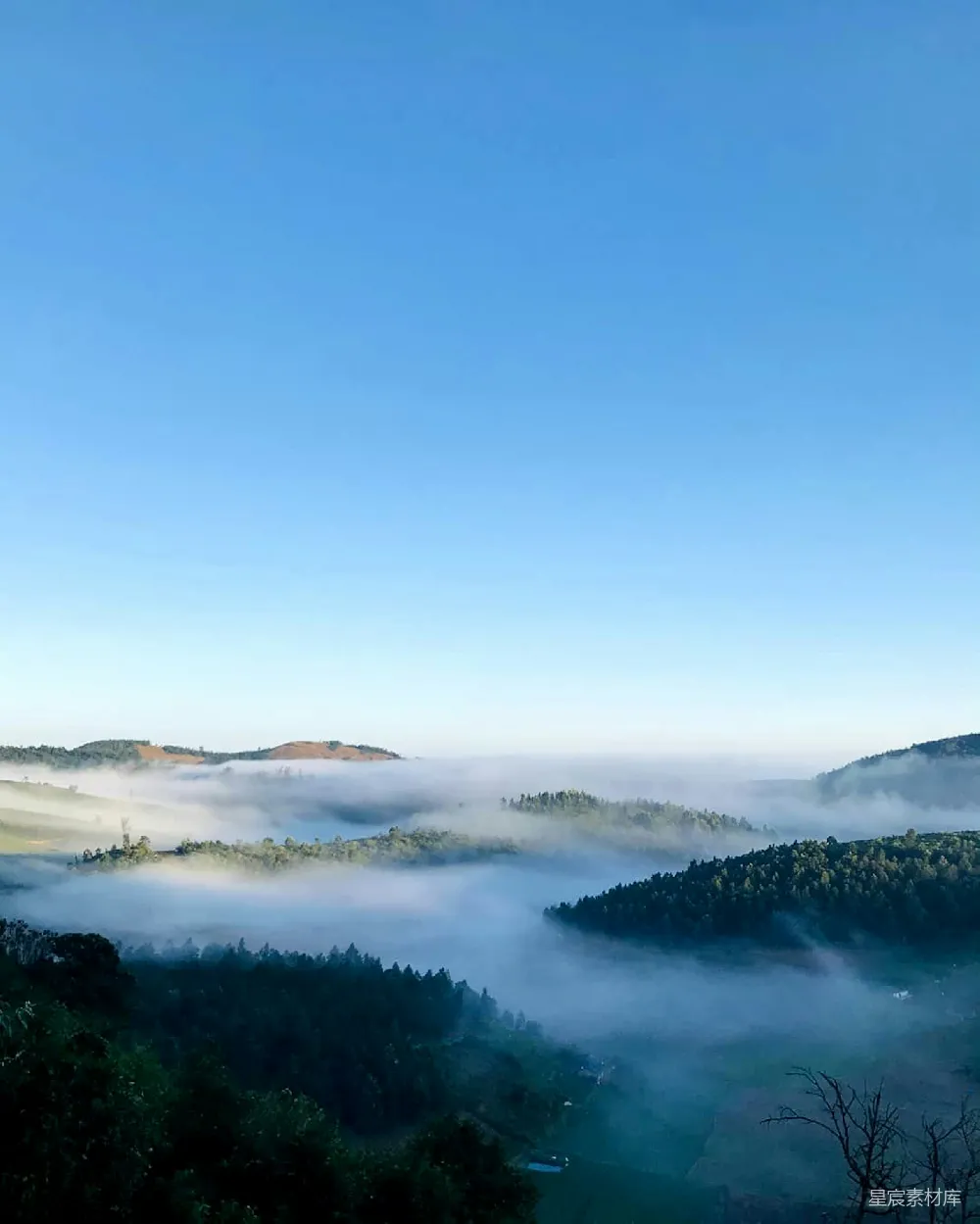 高清摄影 雾气笼罩的山谷景色