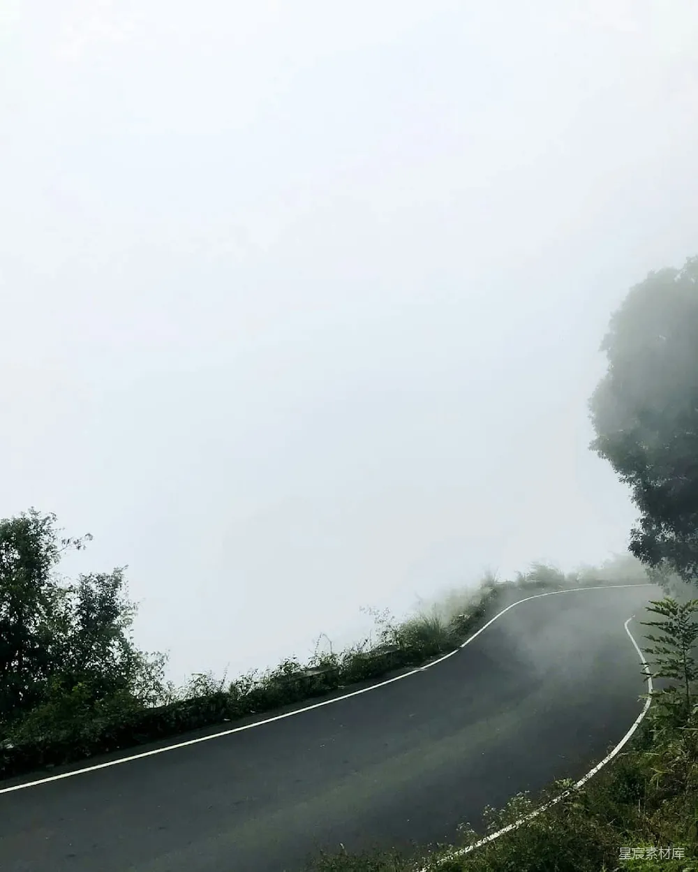高清摄影 路边有树的道路
