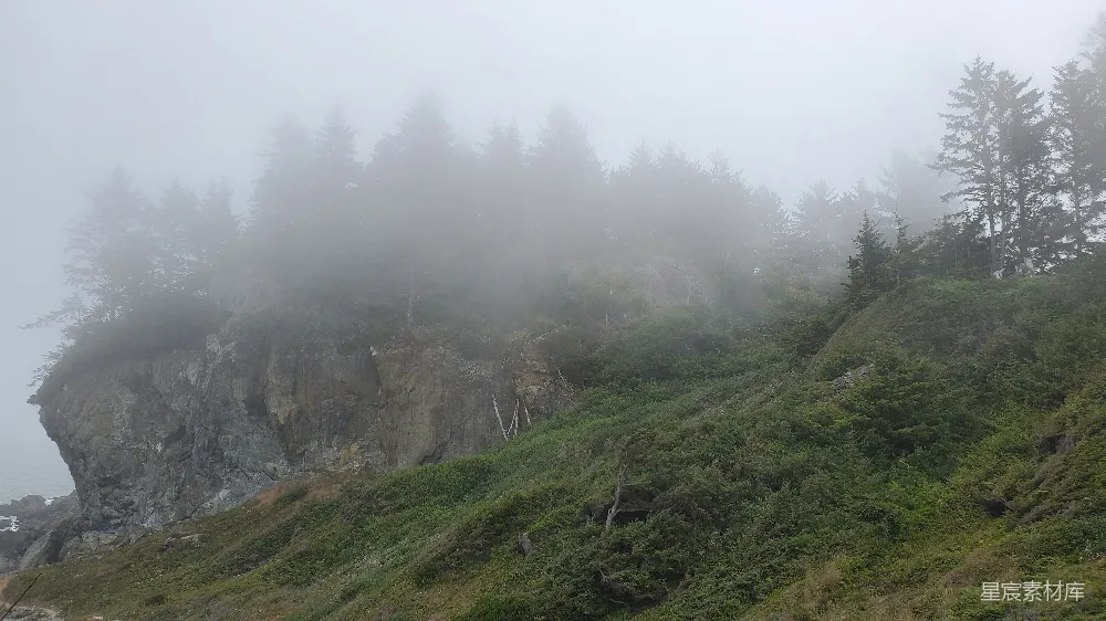 高清摄影 山间一片雾气缭绕的地方，树木丛生