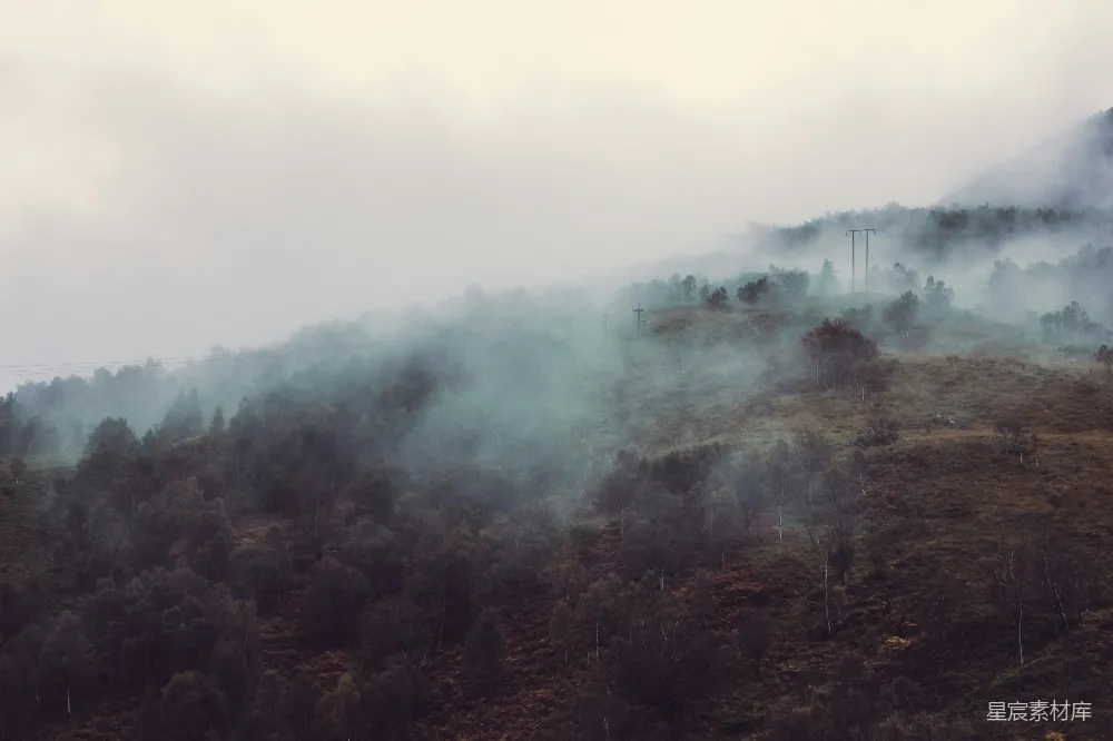 高清摄影 一道被雾和树木覆盖的小山在阴天里