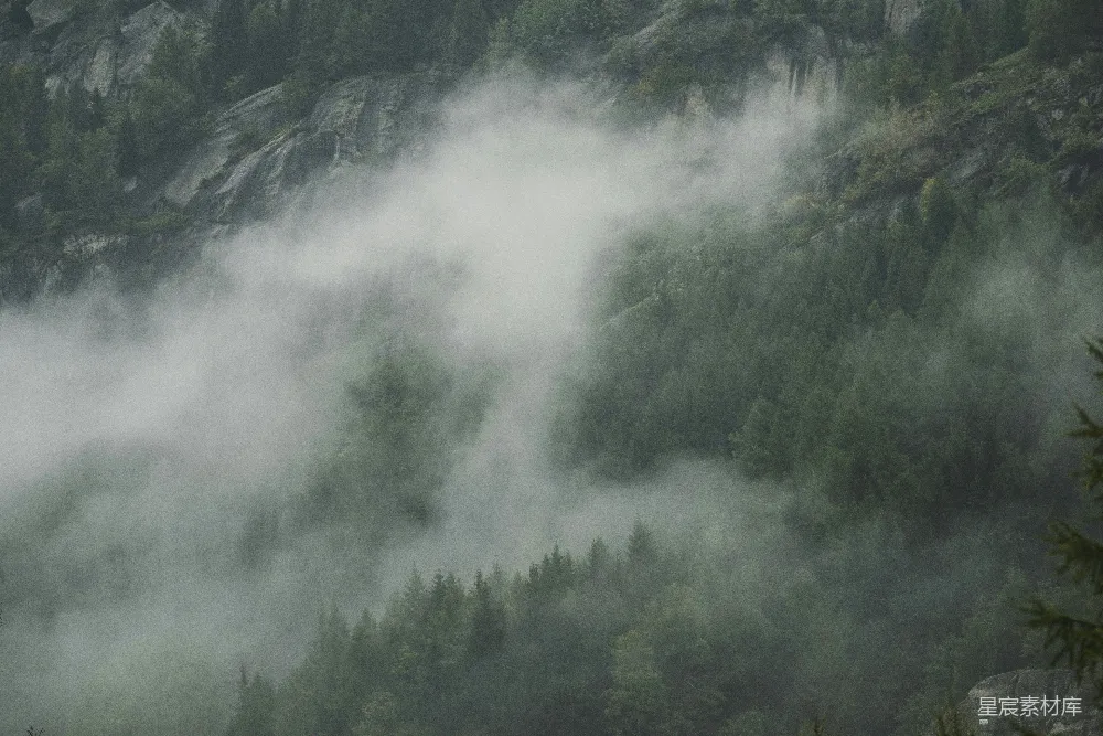 高清摄影  一座被雾笼罩的山峰， foreground 中有树木。