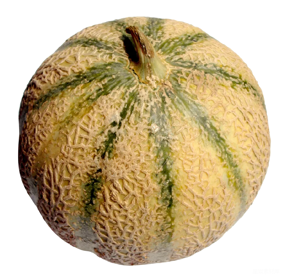 元素素材 蜜瓜