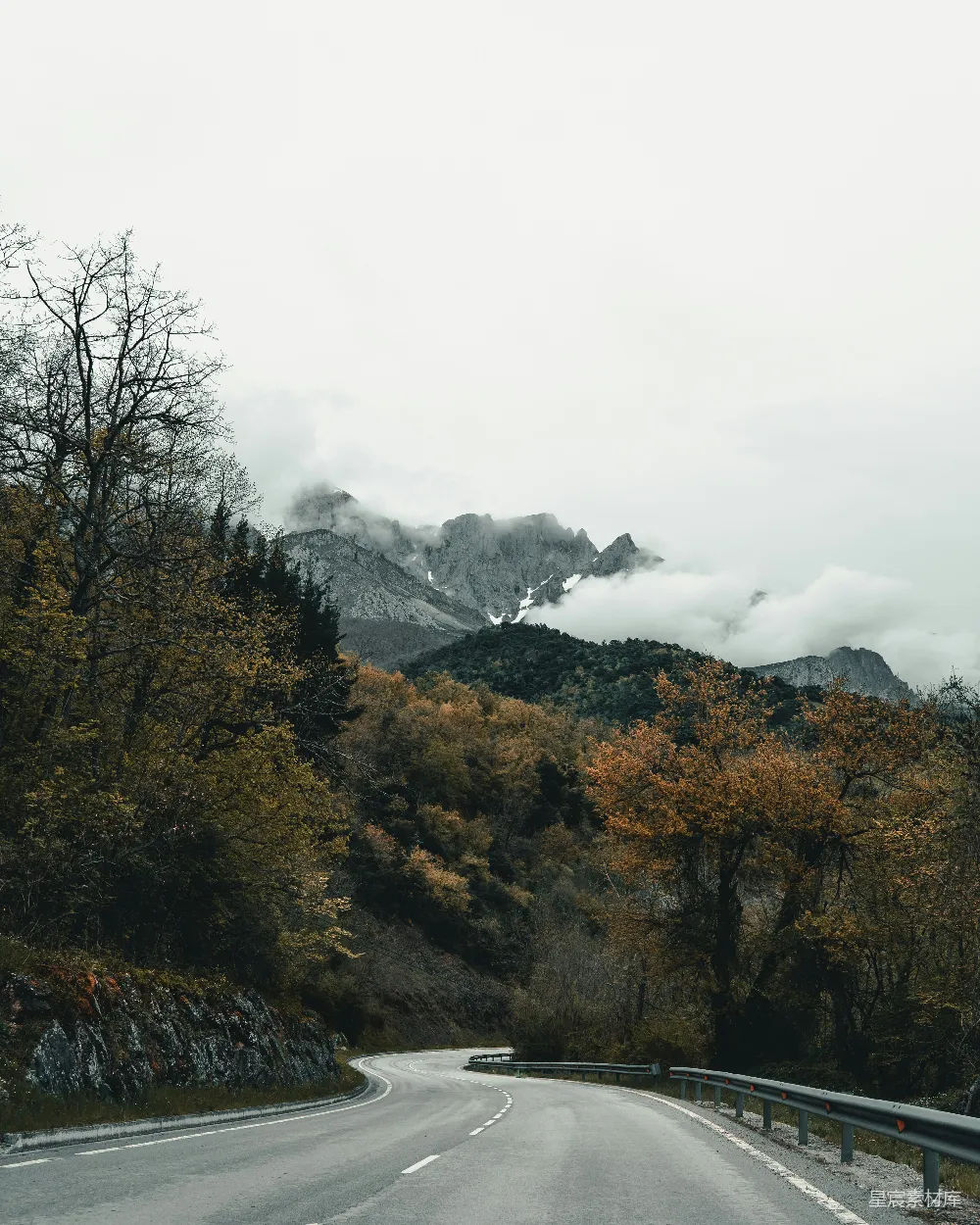 高清摄影 混凝土路两旁种有树木