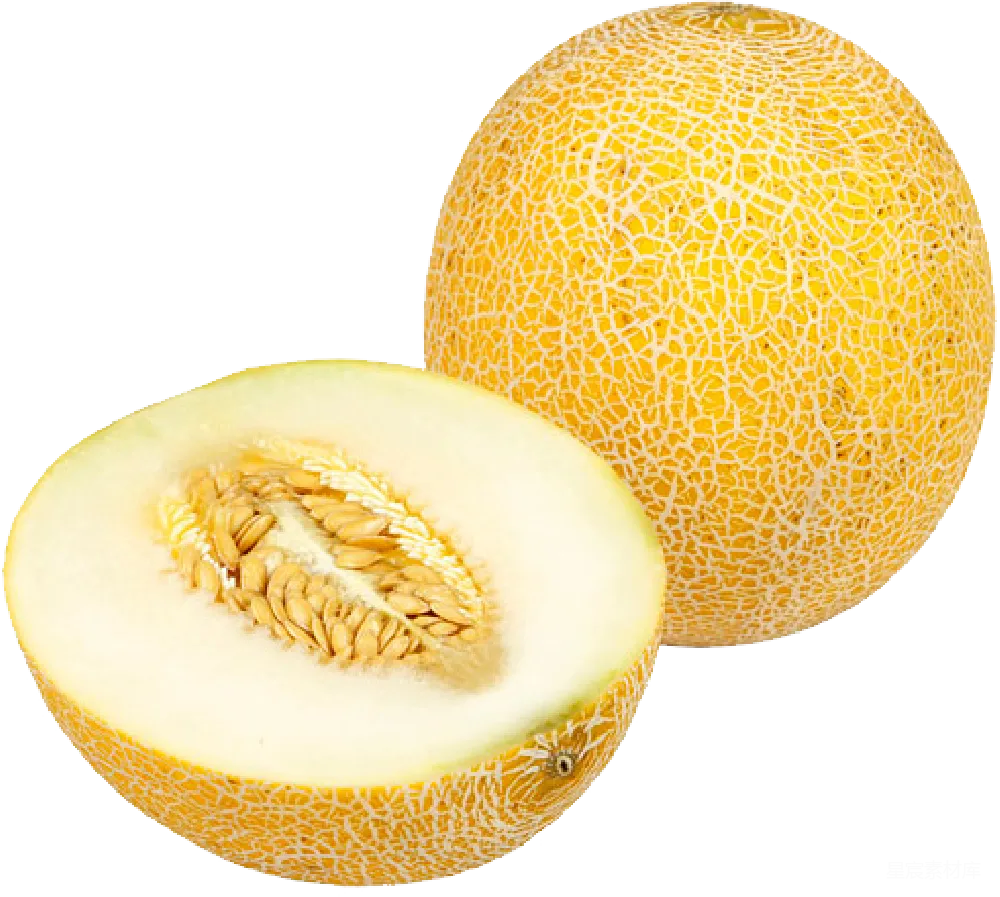 元素素材 蜜瓜