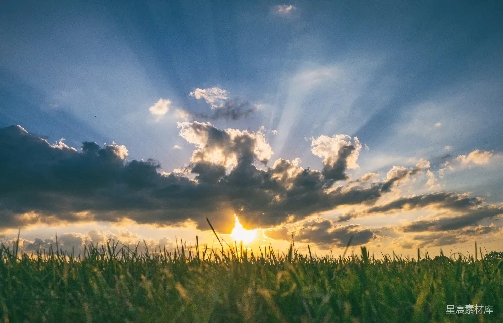 高清摄影 夕阳映照在一片草地上。