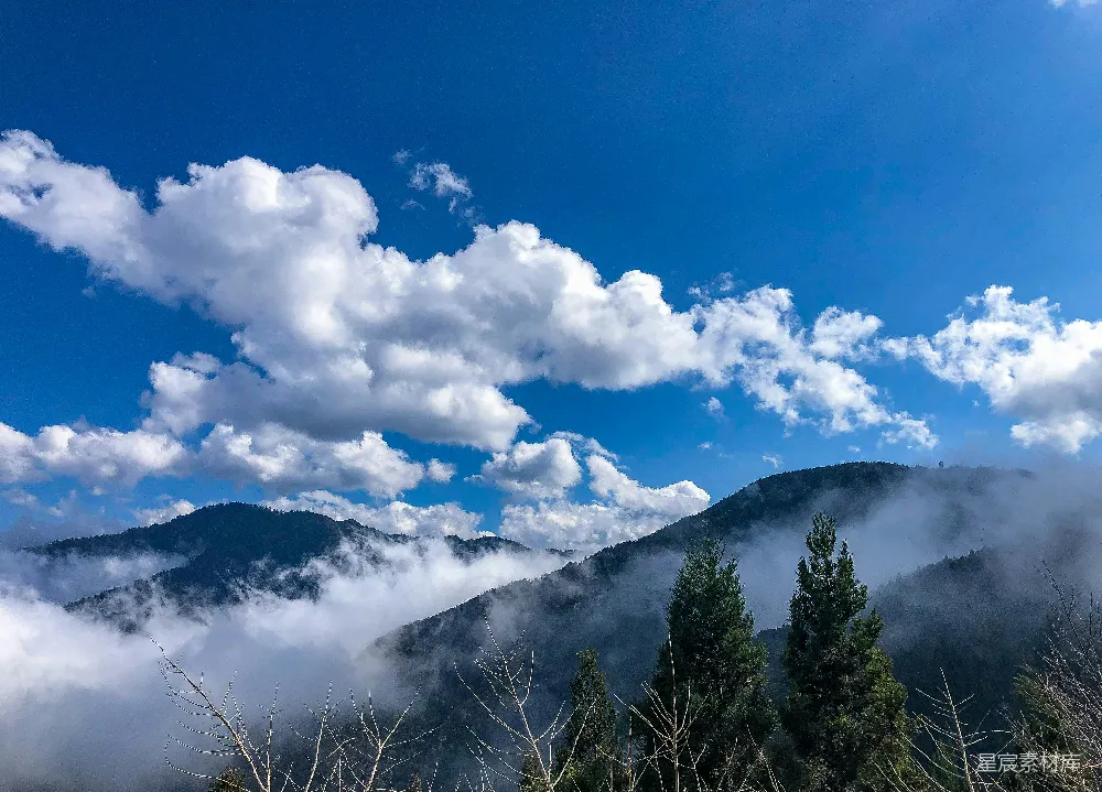 高清摄影 山脚下云雾缭绕，前景树木葱郁的一角。