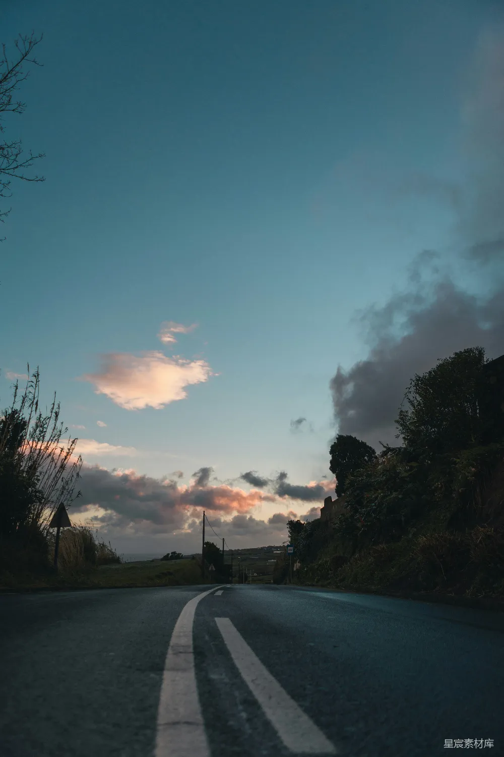 高清摄影 夕阳西下，路上有树。