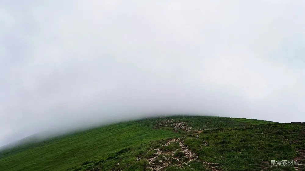 高清摄影 绿草.fields下白天空中