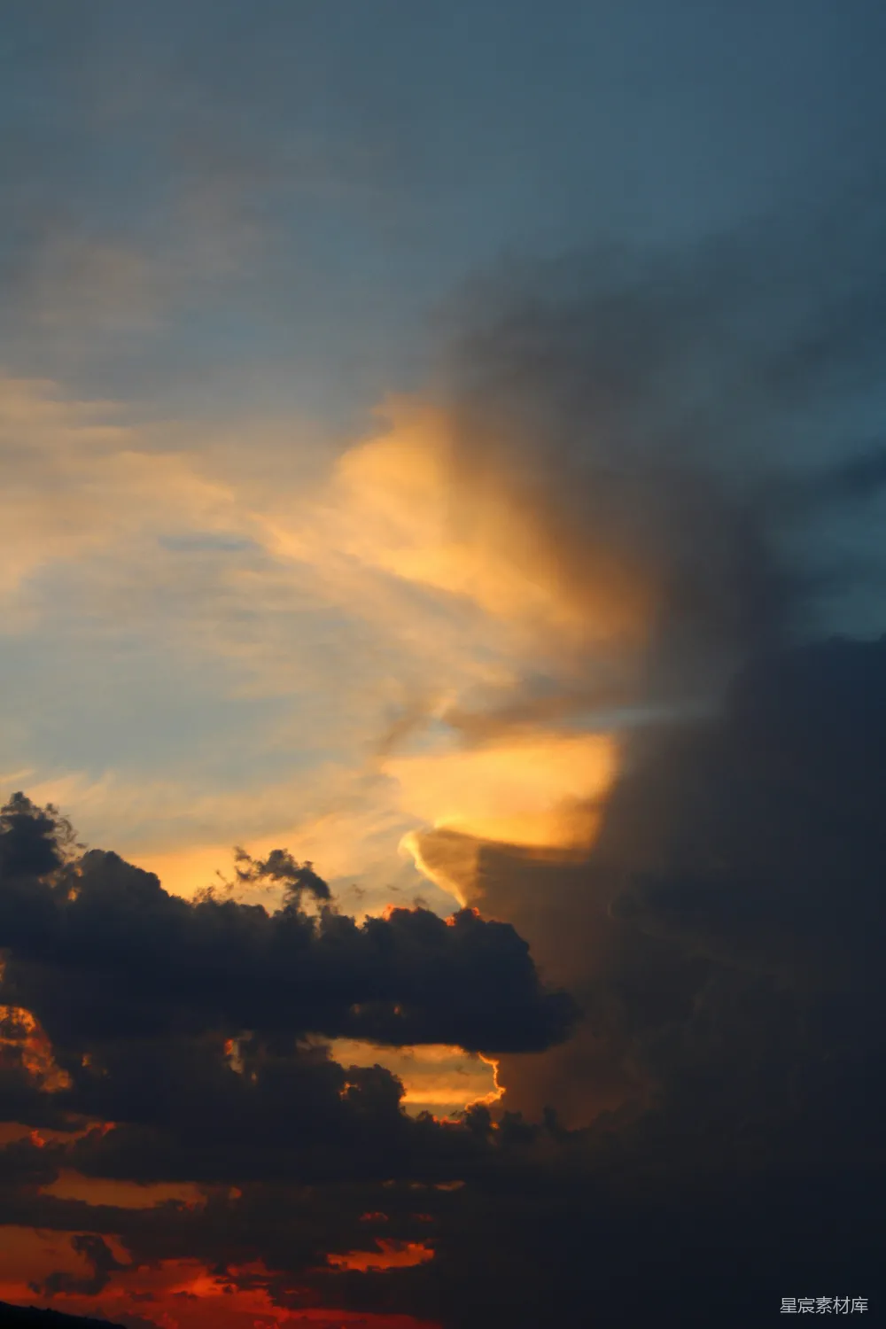 高清摄影 夕阳下树影的轮廓在阴云密布的天空中