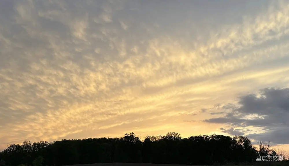 高清摄影 金色夕阳映照在一片黑暗森林的林线之上。