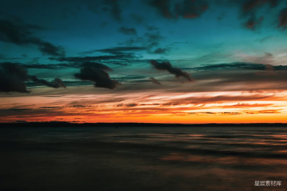 高清摄影 夕阳下海面上飞翔的鸟的轮廓